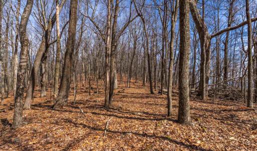 Photo #10 of TROXEL GAP RD, MIDDLEBROOK, VA 135.5 acres