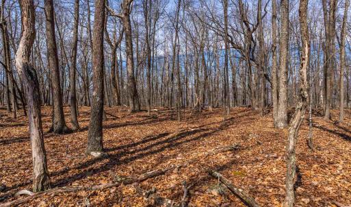 Photo #13 of TROXEL GAP RD, MIDDLEBROOK, VA 135.5 acres