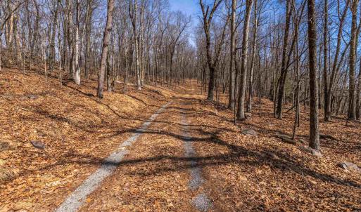Photo #4 of TROXEL GAP RD, MIDDLEBROOK, VA 135.5 acres