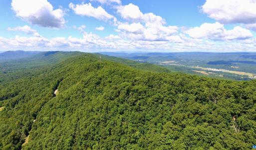 This Property Abuts The Goshen and Little North Mountain Wildlife Management Area