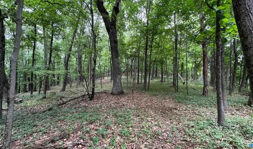 Photo #21 of TROXEL GAP RD, MIDDLEBROOK, VA 135.5 acres