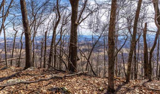 Photo #9 of TROXEL GAP RD, MIDDLEBROOK, VA 135.5 acres