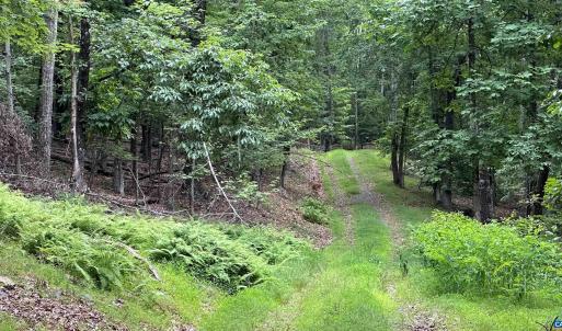 Photo #17 of TROXEL GAP RD, MIDDLEBROOK, VA 135.5 acres