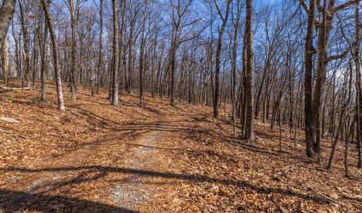 Photo #5 of TROXEL GAP RD, MIDDLEBROOK, VA 135.5 acres