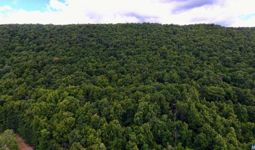 Photo #22 of TROXEL GAP RD, MIDDLEBROOK, VA 135.5 acres