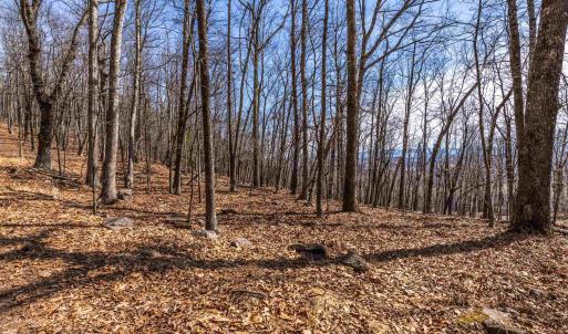 Photo #8 of TROXEL GAP RD, MIDDLEBROOK, VA 135.5 acres