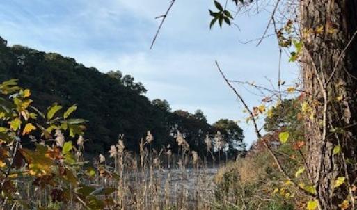 Photo #12 of Lot 8 HARBOUR LN, CAPE CHARLES, VA 2.1 acres