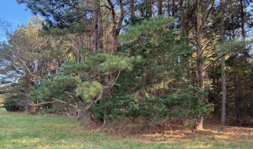 Photo #16 of Lot 8 HARBOUR LN, CAPE CHARLES, VA 2.1 acres