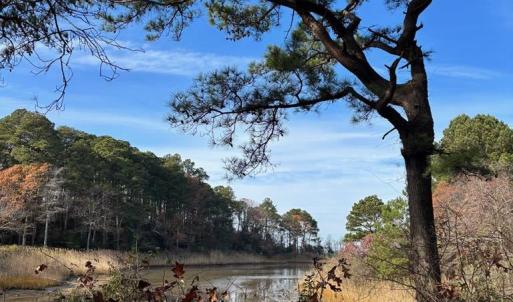 Photo #22 of Lot 8 HARBOUR LN, CAPE CHARLES, VA 2.1 acres