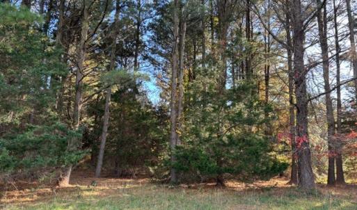 Photo #6 of Lot 8 HARBOUR LN, CAPE CHARLES, VA 2.1 acres