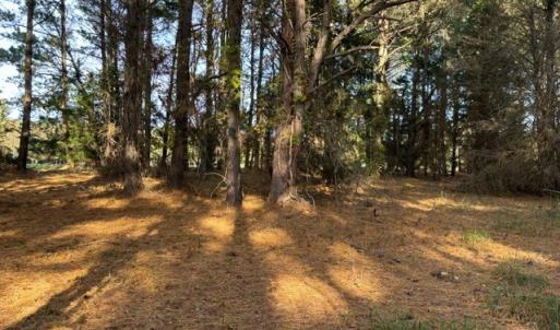 Photo #7 of Lot 8 HARBOUR LN, CAPE CHARLES, VA 2.1 acres