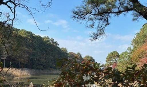 Photo #8 of Lot 8 HARBOUR LN, CAPE CHARLES, VA 2.1 acres