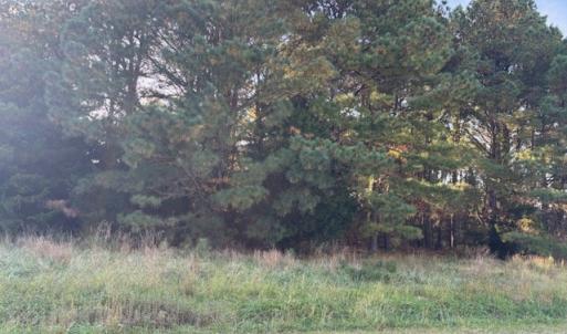 Photo #10 of Lot 8 HARBOUR LN, CAPE CHARLES, VA 2.1 acres