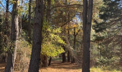 Photo #14 of Lot 8 HARBOUR LN, CAPE CHARLES, VA 2.1 acres