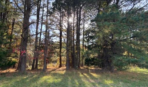 Photo #17 of Lot 8 HARBOUR LN, CAPE CHARLES, VA 2.1 acres