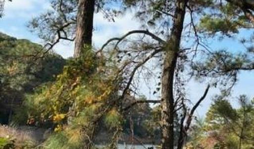 Photo #18 of Lot 8 HARBOUR LN, CAPE CHARLES, VA 2.1 acres