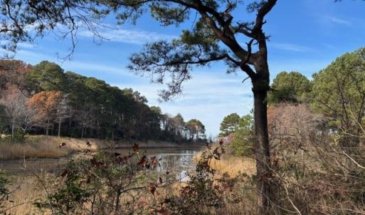 Photo #19 of Lot 8 HARBOUR LN, CAPE CHARLES, VA 2.1 acres