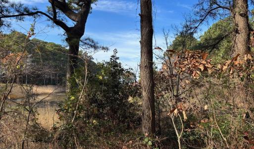 Photo #21 of Lot 8 HARBOUR LN, CAPE CHARLES, VA 2.1 acres