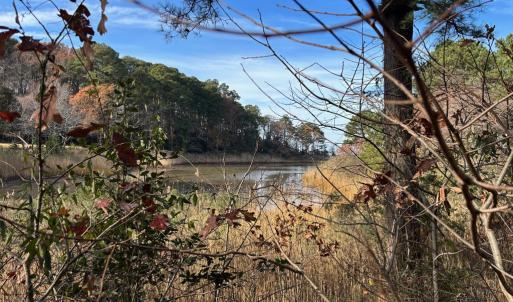 Photo #23 of Lot 8 HARBOUR LN, CAPE CHARLES, VA 2.1 acres