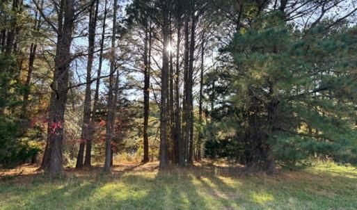 Photo #5 of Lot 8 HARBOUR LN, CAPE CHARLES, VA 2.1 acres