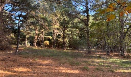 Photo #3 of HARBOUR LN, CAPE CHARLES, VA 2.1 acres