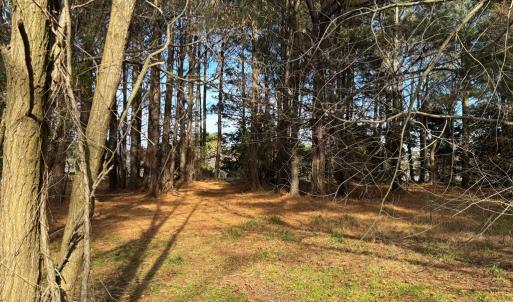 Photo #4 of HARBOUR LN, CAPE CHARLES, VA 2.1 acres