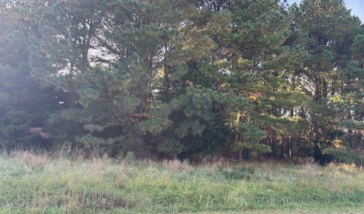 Photo #14 of HARBOUR LN, CAPE CHARLES, VA 2.1 acres