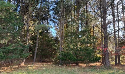 Photo #17 of HARBOUR LN, CAPE CHARLES, VA 2.1 acres