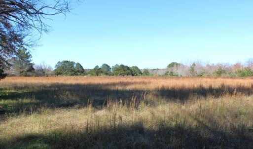 Photo #16 of lot 3 ,4 MINK FARM RD, ONANCOCK, VA 12.0 acres