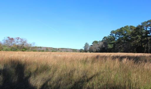 Photo #17 of lot 3 ,4 MINK FARM RD, ONANCOCK, VA 12.0 acres