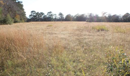 cleared for your new home