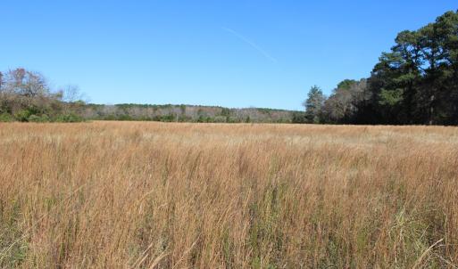 Photo #7 of lot 3 ,4 MINK FARM RD, ONANCOCK, VA 12.0 acres