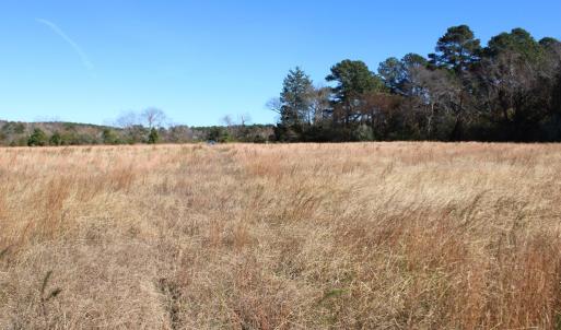 Photo #8 of lot 3 ,4 MINK FARM RD, ONANCOCK, VA 12.0 acres