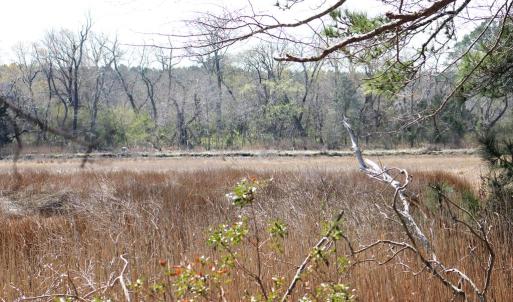 Photo #12 of lot 3 ,4 MINK FARM RD, ONANCOCK, VA 12.0 acres