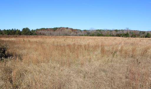 Photo #9 of lot 3 ,4 MINK FARM RD, ONANCOCK, VA 12.0 acres
