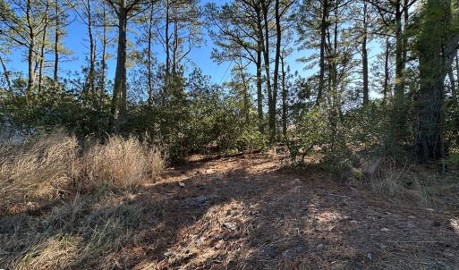Photo #4 of 7539* DOE BAY LANE, CHINCOTEAGUE, VA 4.9 acres