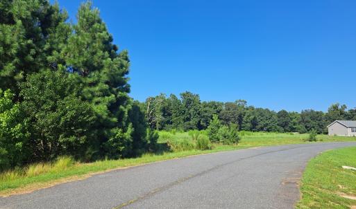 Photo #4 of Lot 29 WHITE TAIL LANE, MELFA, VA 1.5 acres