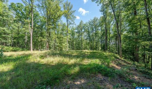 Photo #14 of LOT H-8 HIGHTOP DR, NORTH GARDEN, VA 24.1 acres