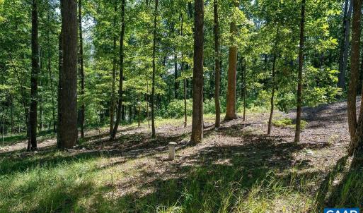 Photo #15 of LOT H-8 HIGHTOP DR, NORTH GARDEN, VA 24.1 acres