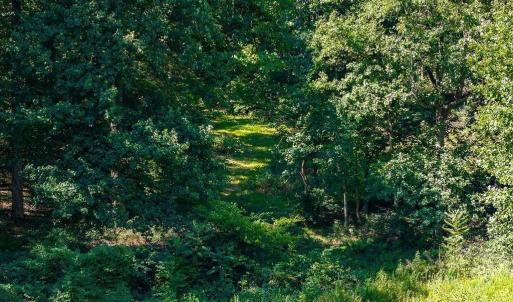 Photo #18 of LOT H-8 HIGHTOP DR, NORTH GARDEN, VA 24.1 acres
