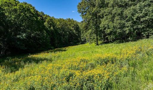 Photo #20 of LOT H-8 HIGHTOP DR, NORTH GARDEN, VA 24.1 acres