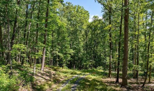Photo #11 of LOT H-8 HIGHTOP DR, NORTH GARDEN, VA 24.1 acres