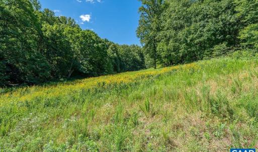 Photo #21 of LOT H-8 HIGHTOP DR, NORTH GARDEN, VA 24.1 acres