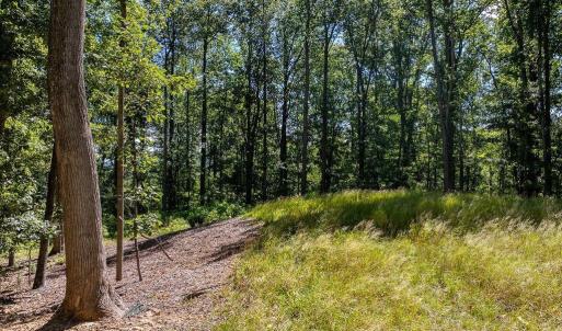 Photo #12 of LOT H-8 HIGHTOP DR, NORTH GARDEN, VA 24.1 acres