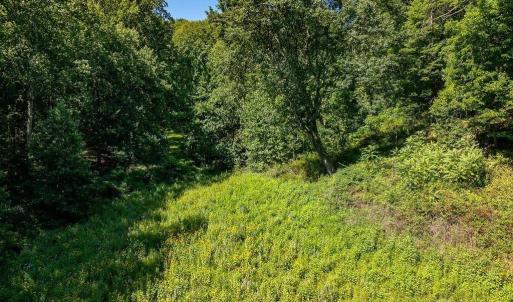 Photo #19 of LOT H-8 HIGHTOP DR, NORTH GARDEN, VA 24.1 acres