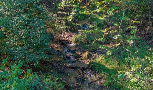 Photo #22 of LOT H-8 HIGHTOP DR, NORTH GARDEN, VA 24.1 acres