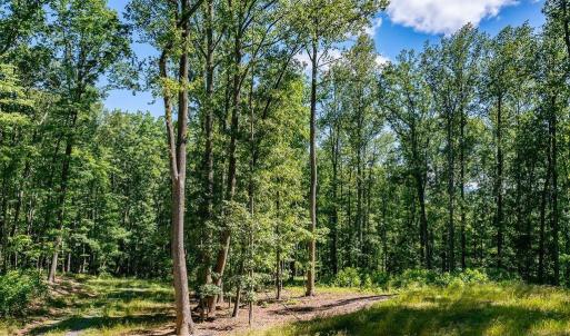 Photo #10 of LOT H-8 HIGHTOP DR, NORTH GARDEN, VA 24.1 acres