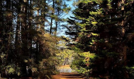 Photo #2 of Lot 19 FOLLY CREEK CLUB LN, ACCOMAC, VA 0.5 acres