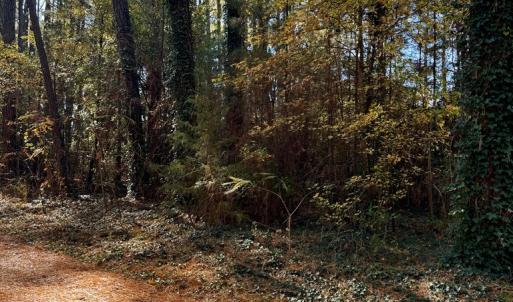 Photo #4 of Lot 19 FOLLY CREEK CLUB LN, ACCOMAC, VA 0.5 acres