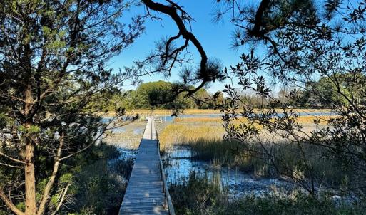 Photo #6 of Lot 19 FOLLY CREEK CLUB LN, ACCOMAC, VA 0.5 acres